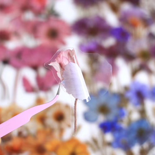 Travel Journal - Bundle